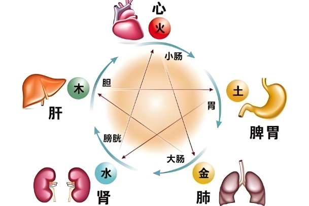 梦见别人开车撞死人