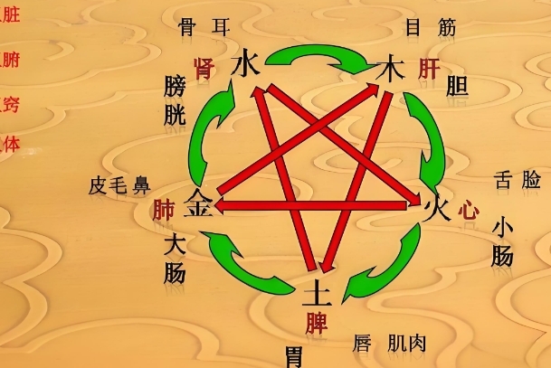 解梦梦见好多蛇是什么意思_蛇海梦解析图片