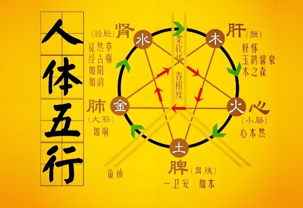 梦见很多鱼抓了很多_丰收之梦图片