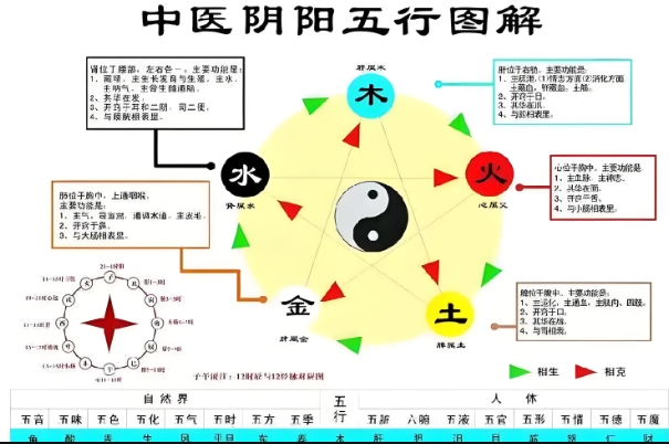 梦见以前的同事是什么意思_同事梦境解读图片