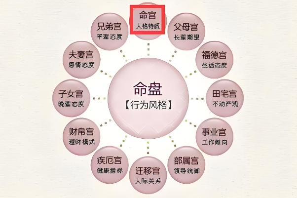 免费测名字打分100分周易_姓名评分宝典图片