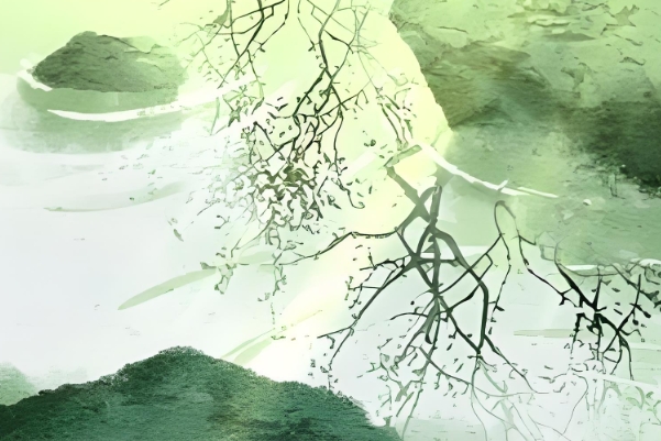 周公解梦梦见牙齿掉了是什么意思