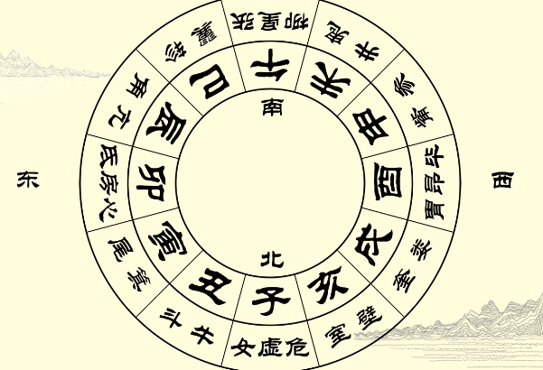 梦见自己飞了起来图片