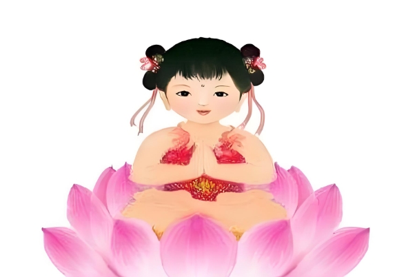 十二星座学霸排名_星座学霸排行榜图片