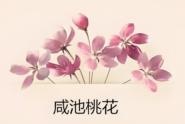 梦见坟堆是什么征兆女性_梦境含义