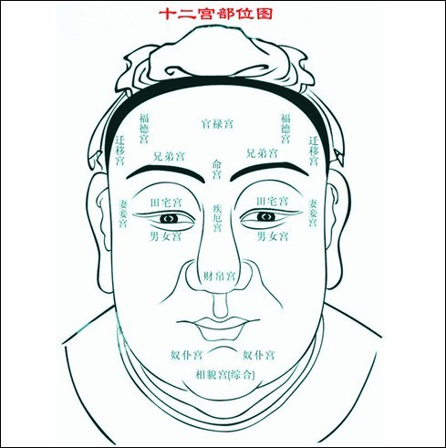 周公解梦全解大全梦见蛇_蛇梦详解图片