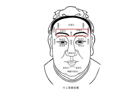 梦见身处谋杀案现场害怕概括图片