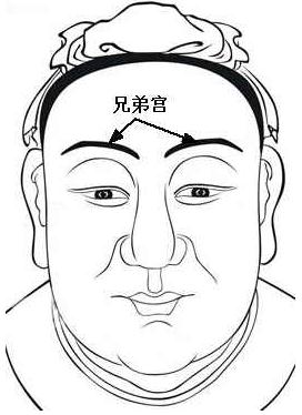 属狗和什么属相最配_狗与哪属相最配图片