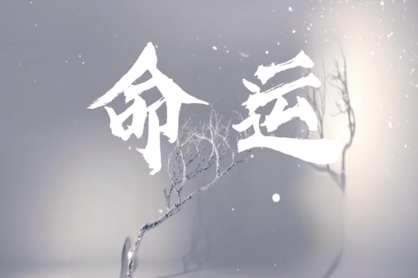 梦见特大洪水滚滚而来图片