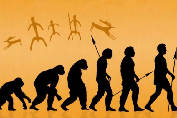 梦见很多鱼有死有活图片