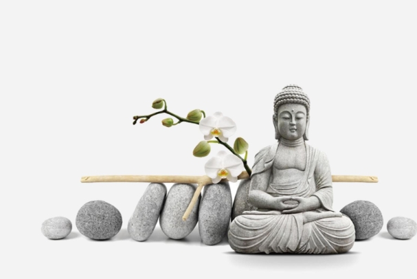 梦到自己牙齿掉光了是什么预兆_梦境解读图片