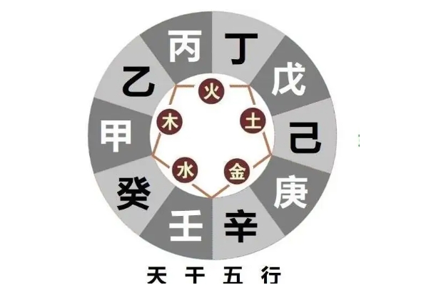 梦到猫是什么意思周公解梦图片