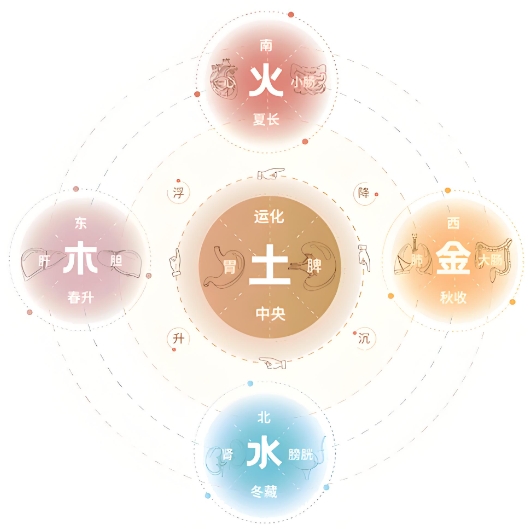 出生时间与命运测算表_命运图解