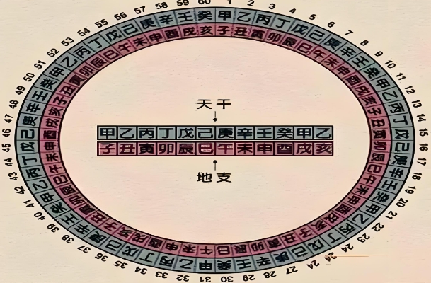 梦见很多人聚在一起吃鱼_众人共食梦图片